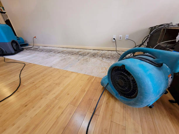 Professional Basement Flood Cleanup technician working in Springdale, SC
